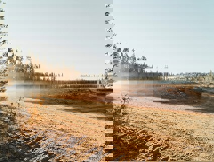 Forvaltning Oseberg Solutions